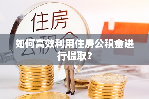 信州如何高效利用住房公积金进行提取？